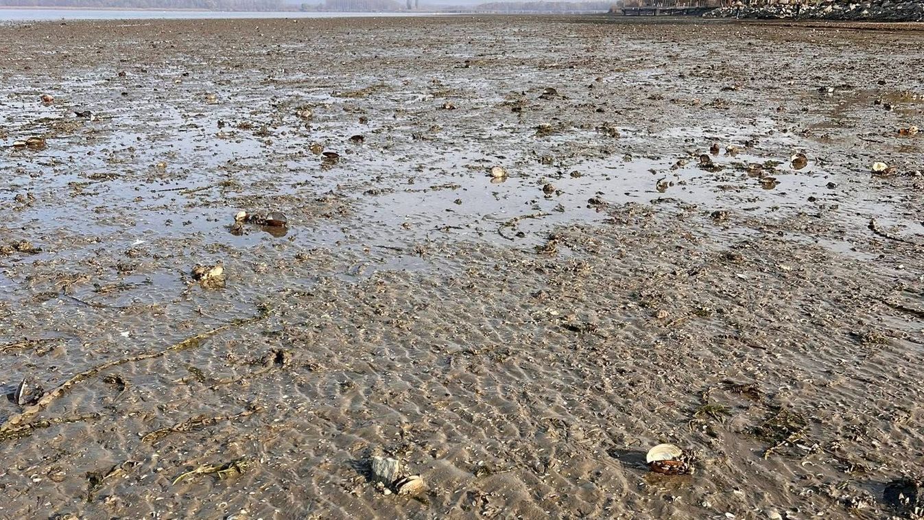 Elképesztő látvány fogadta a szakembereket, mikor odaléptek a víz nélküli Tisza-tóhoz
