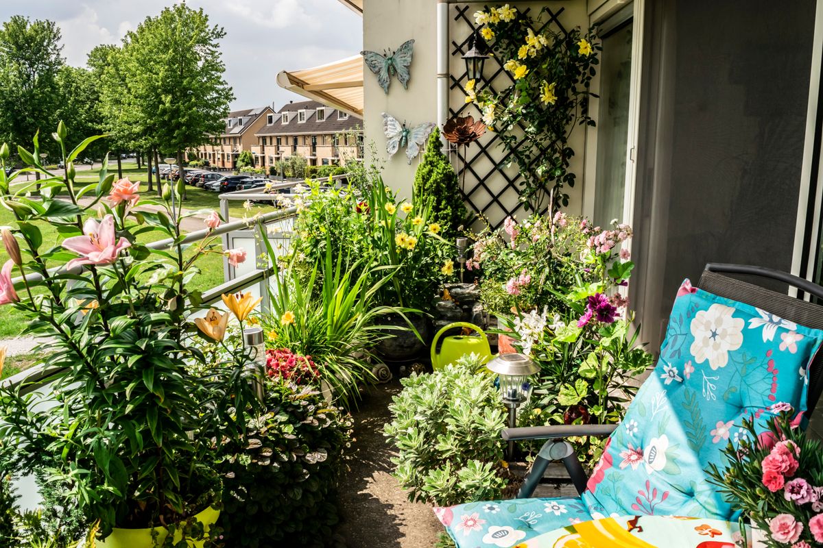 Growing,Flowers,In,Flower,Pots,And,Containers,,Selective,Focus.,Summer