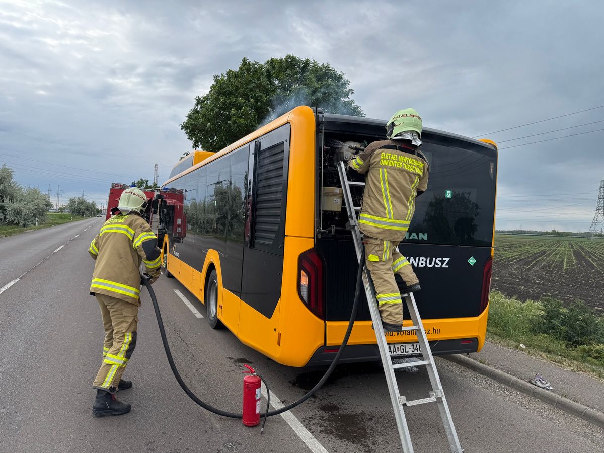 szolnoki Életjel Mentőcsoport