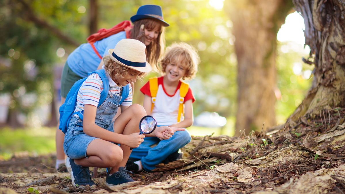Kids,Explore,Nature.,Children,Hike,In,Sunny,Summer,Park.,Scout