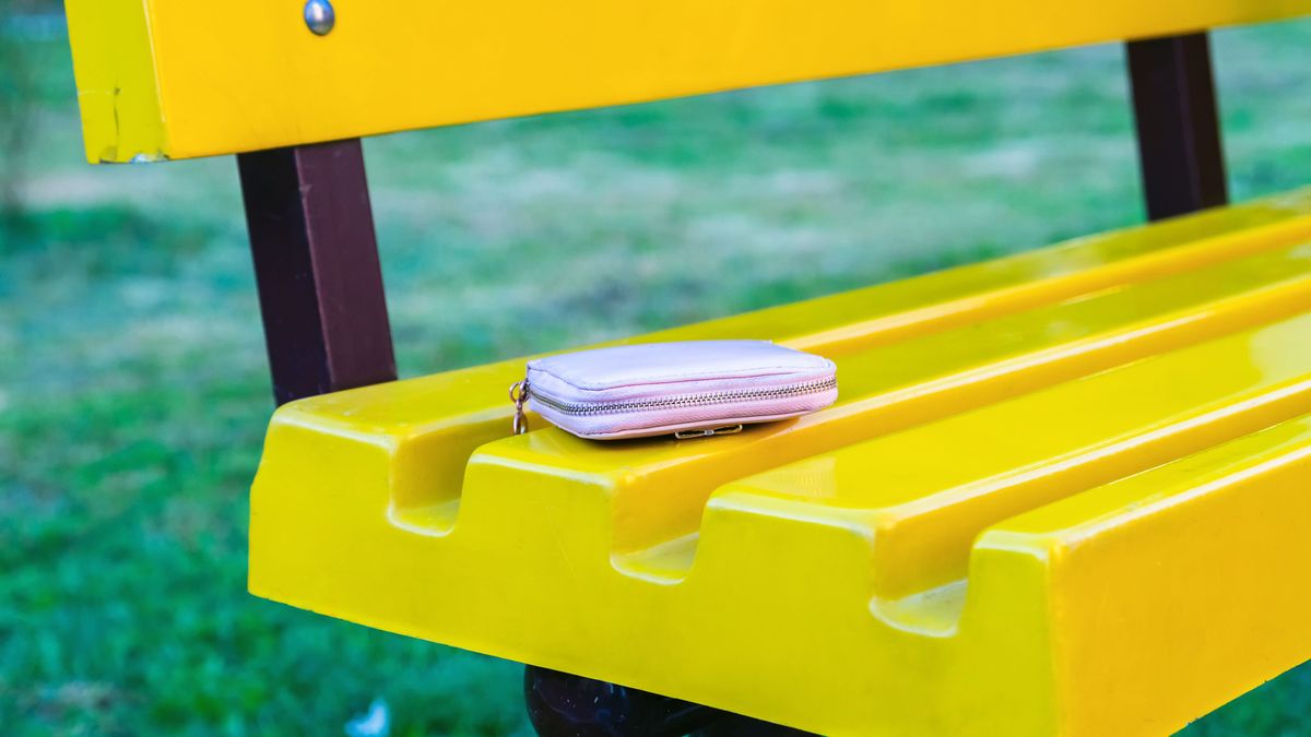 A,Forgotten,Purse,Lies,On,A,Park,Bench.,Pink.,Yellow.