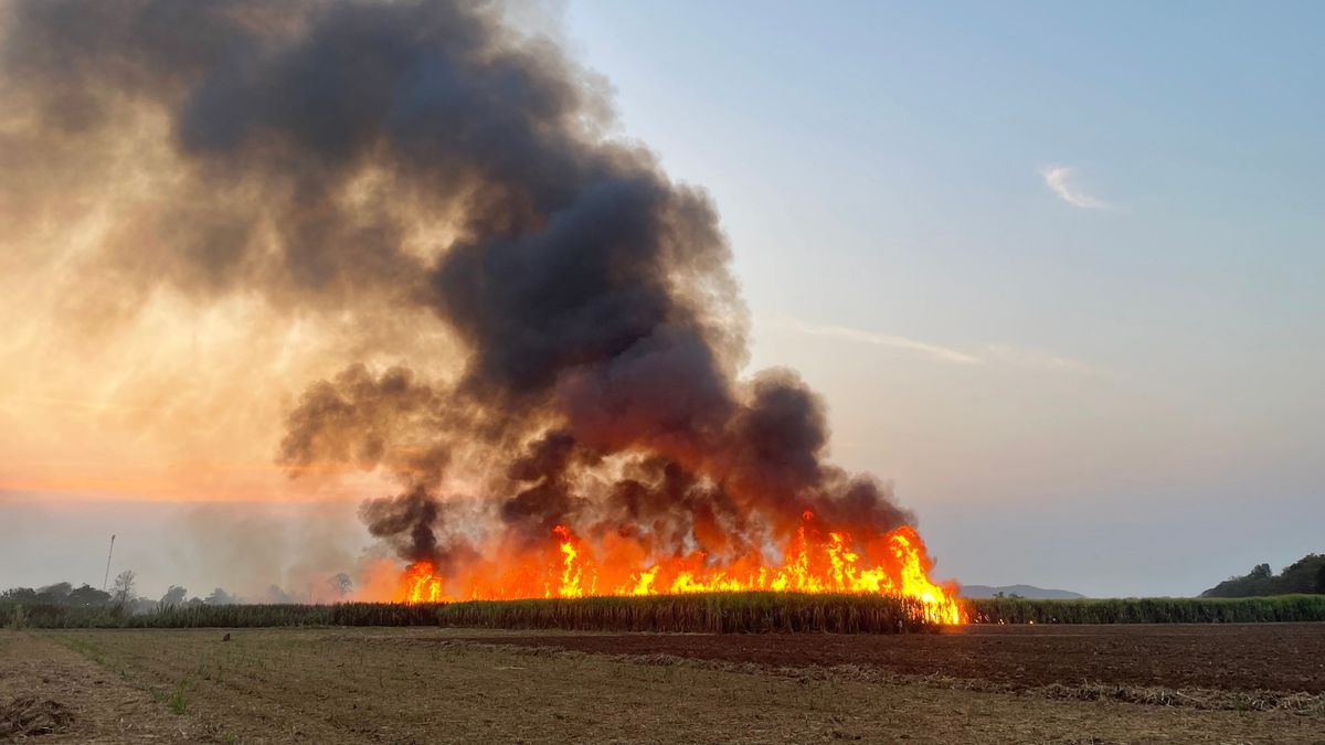 A,Fire,Burning,A,Farmer's,Sugar,Cane