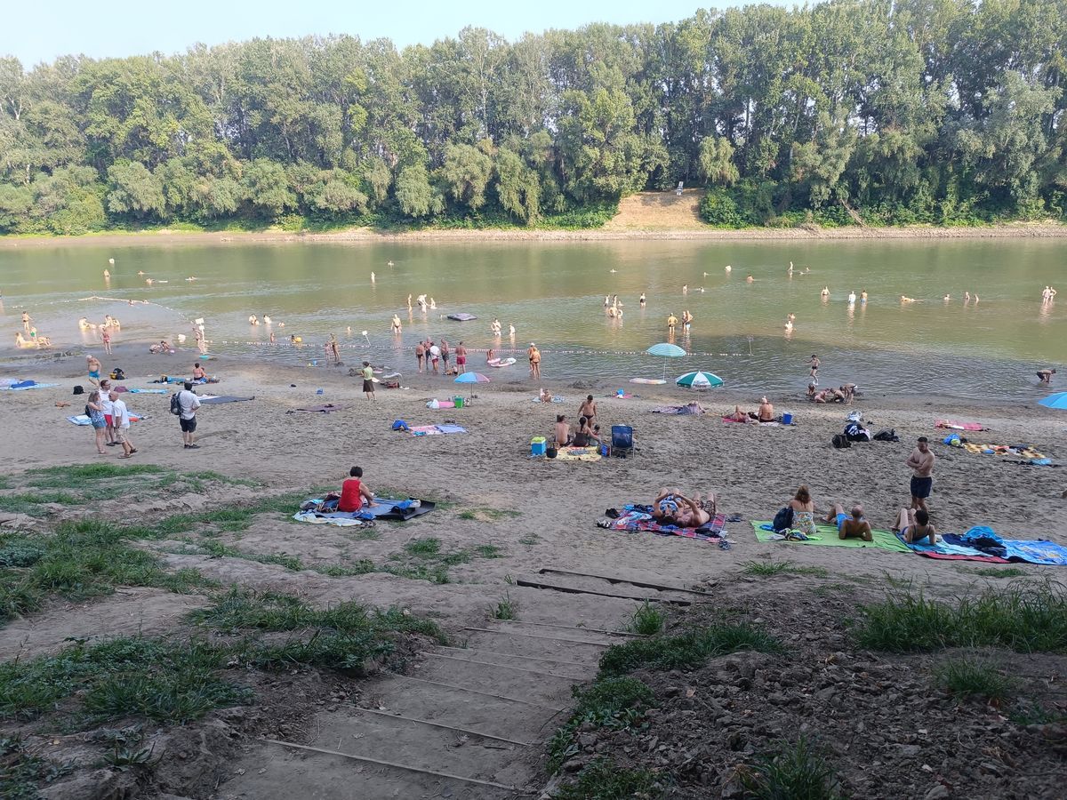 tisza szabadstrandok a megyében