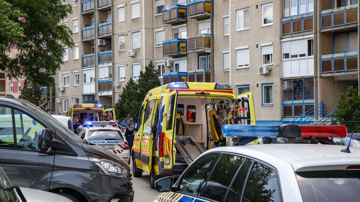 Brutális ámokfutás a Széchenyi lakótelepen: megkéselte anyját egy szolnoki férfi, majd bezárkózott – galériával