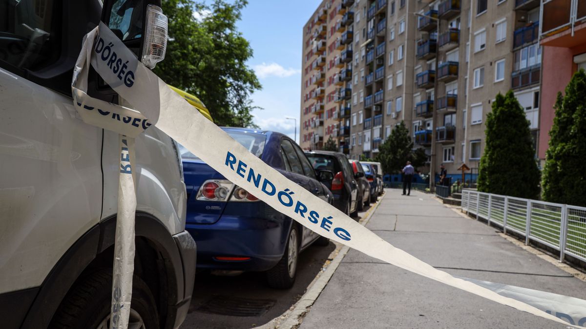 Megvan az indíték? Kiderült, miért szurkálta meg az anyját az ámokfutó férfi Szolnokon – videóval