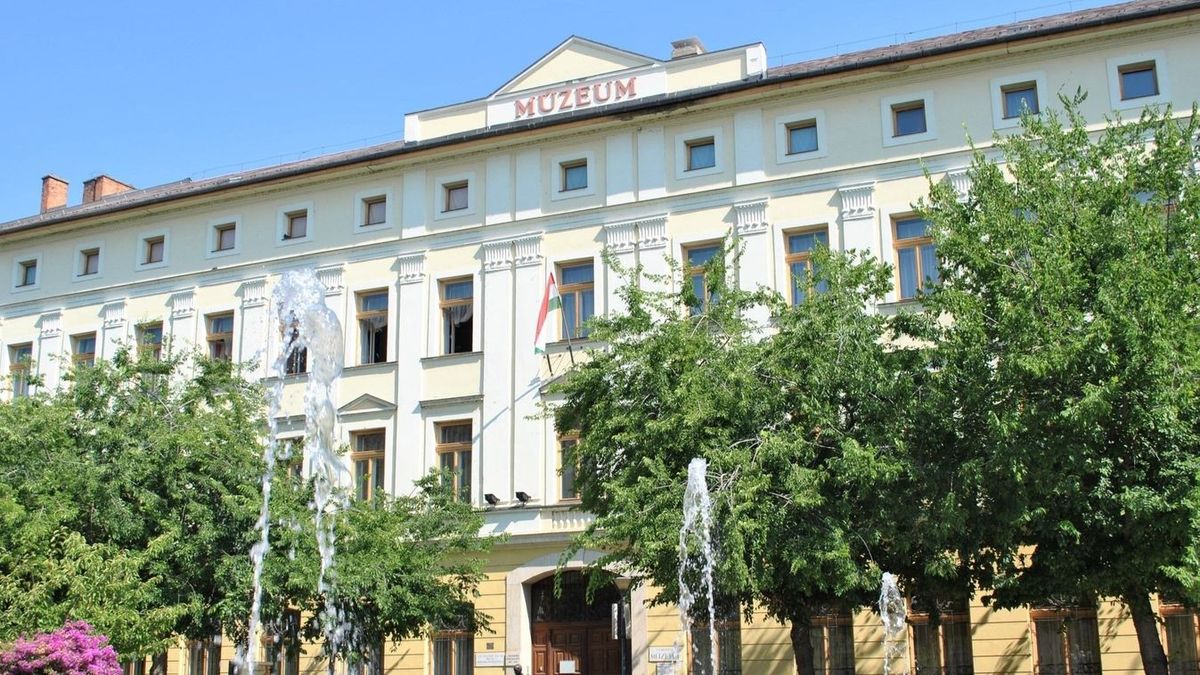 Múzeumok Éjszakája a Damjanich Múzeumban