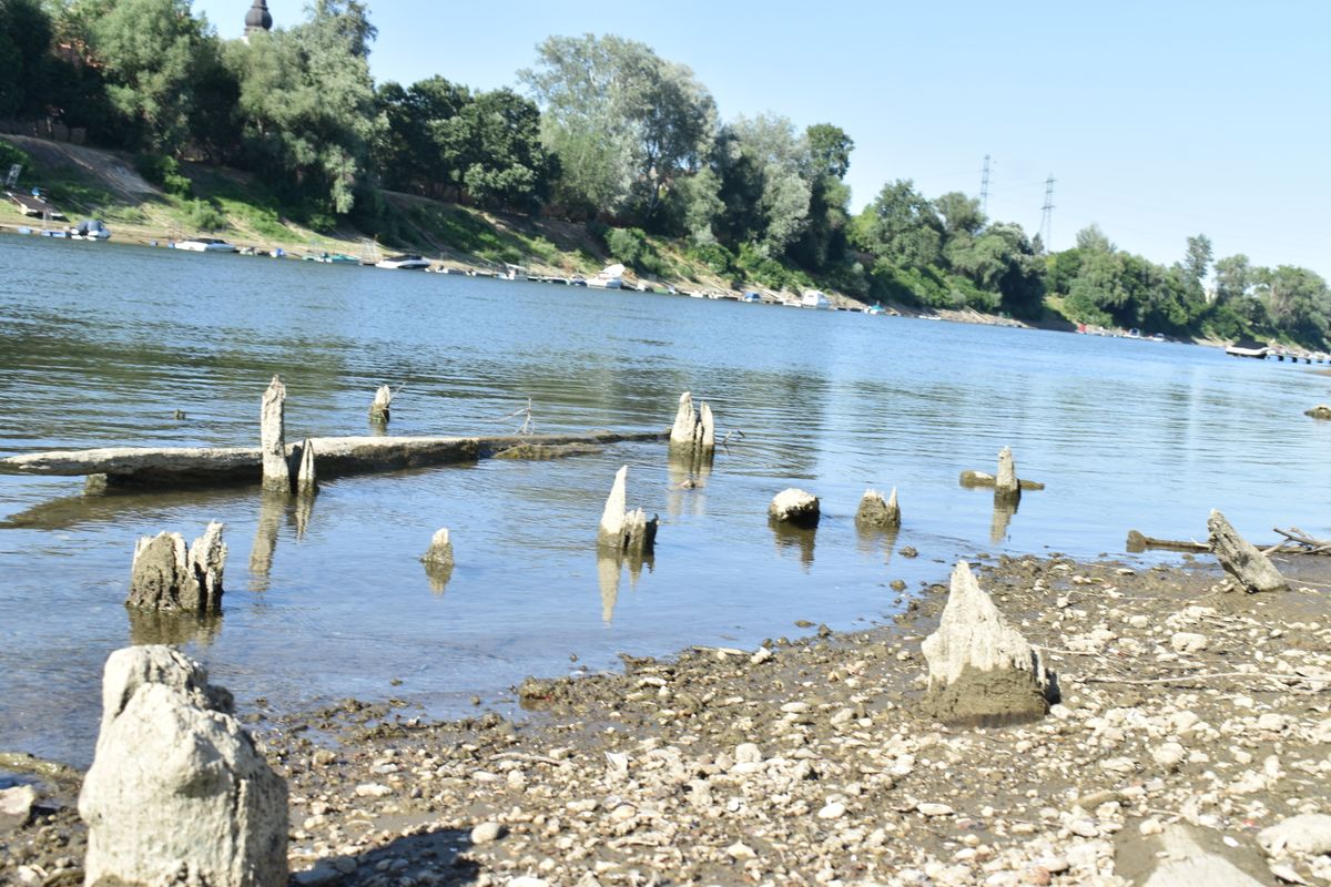 A Tisza bal partján látható tartó gerenda és a  megmunkálatlan cölöpök csonkjai