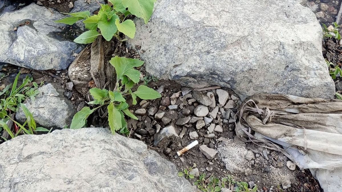 urnazsákok sodródtak felszínre Szolnokon