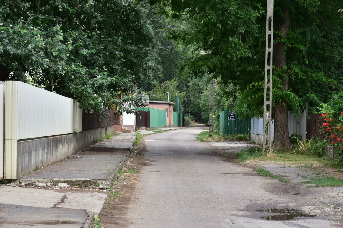 szolnoki balhé, verekedés, Szolnok, Mentetlen, diszkó