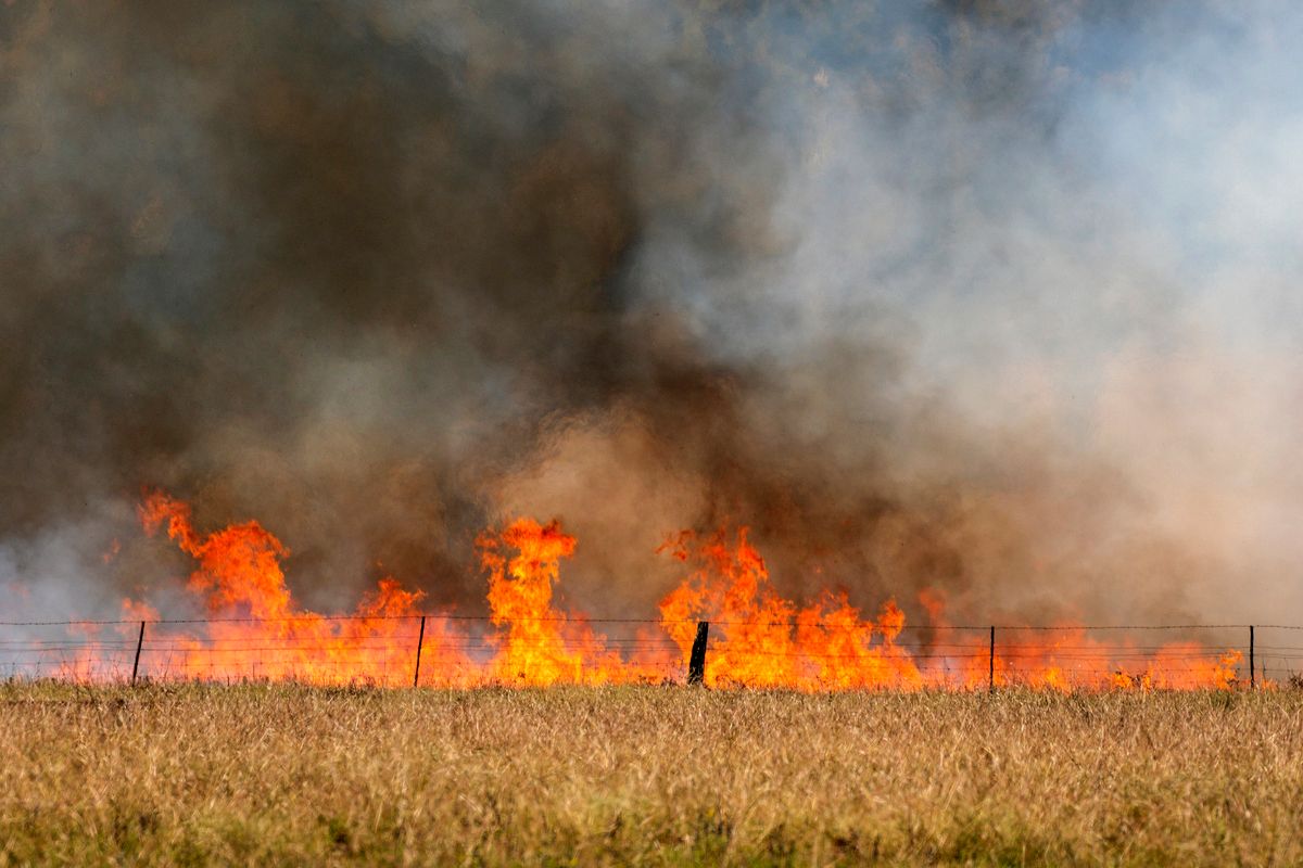 Forest fire flames, smoke clouds, grass fire in field, farm, closeup