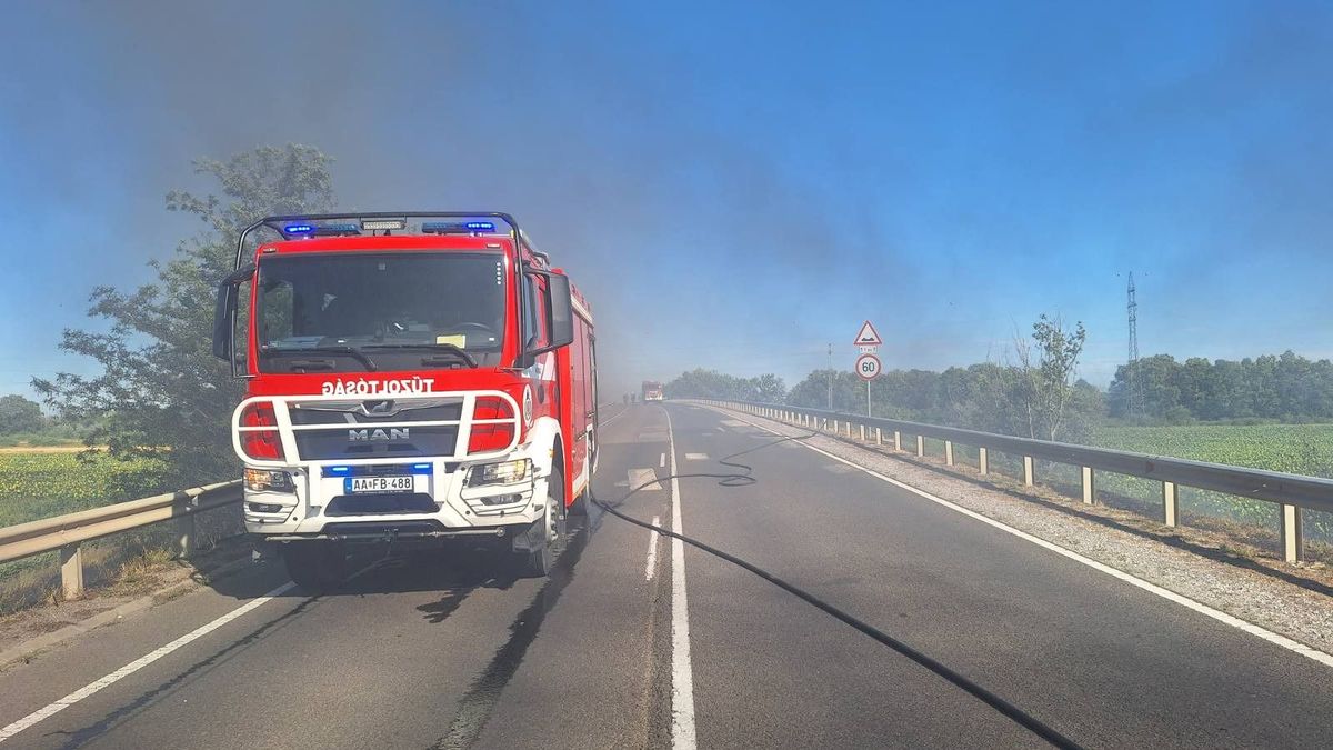 Hatalmas lángok miatt zárták le a szolnoki elkerülőt, egy teljes gyümölcsössel is végzett a tűzvihar