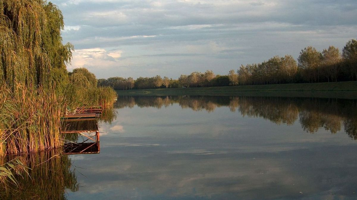 Holt-Tisza-part autó