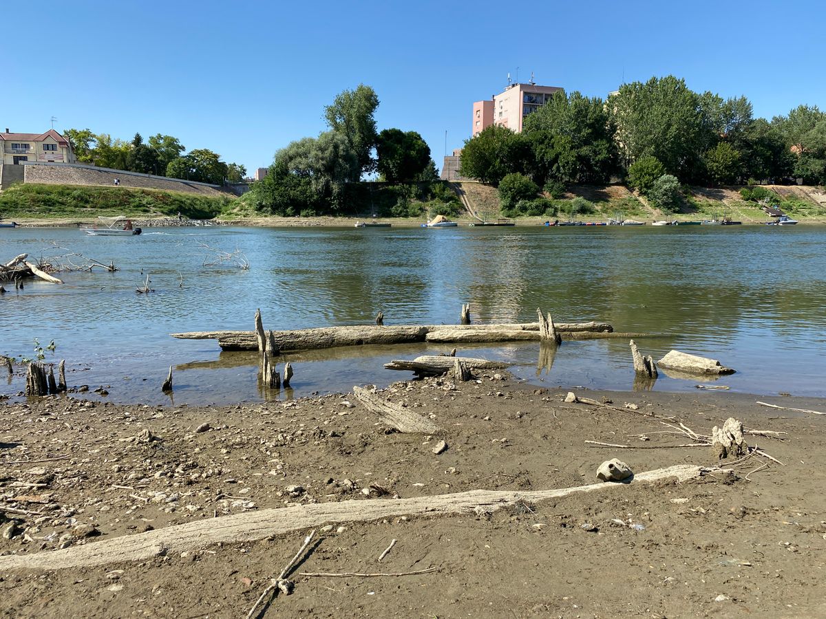 Az első cölöpöket egy helyi lakos vette észre a Tisza hídtól 70 méterre