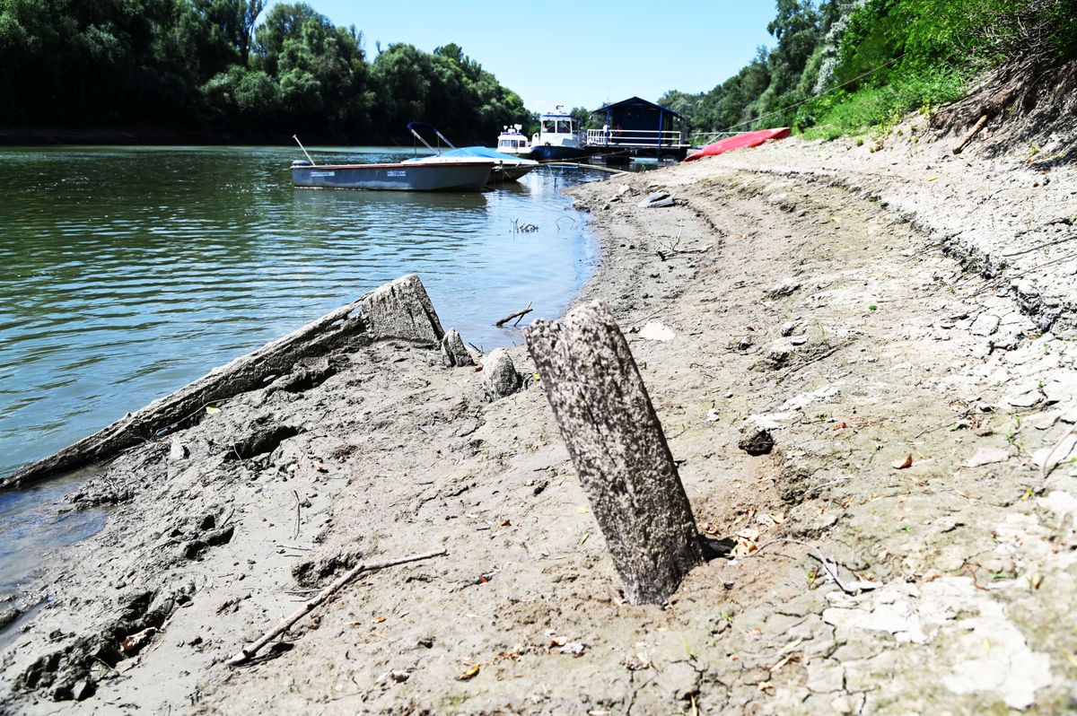 Tisza vízállás
