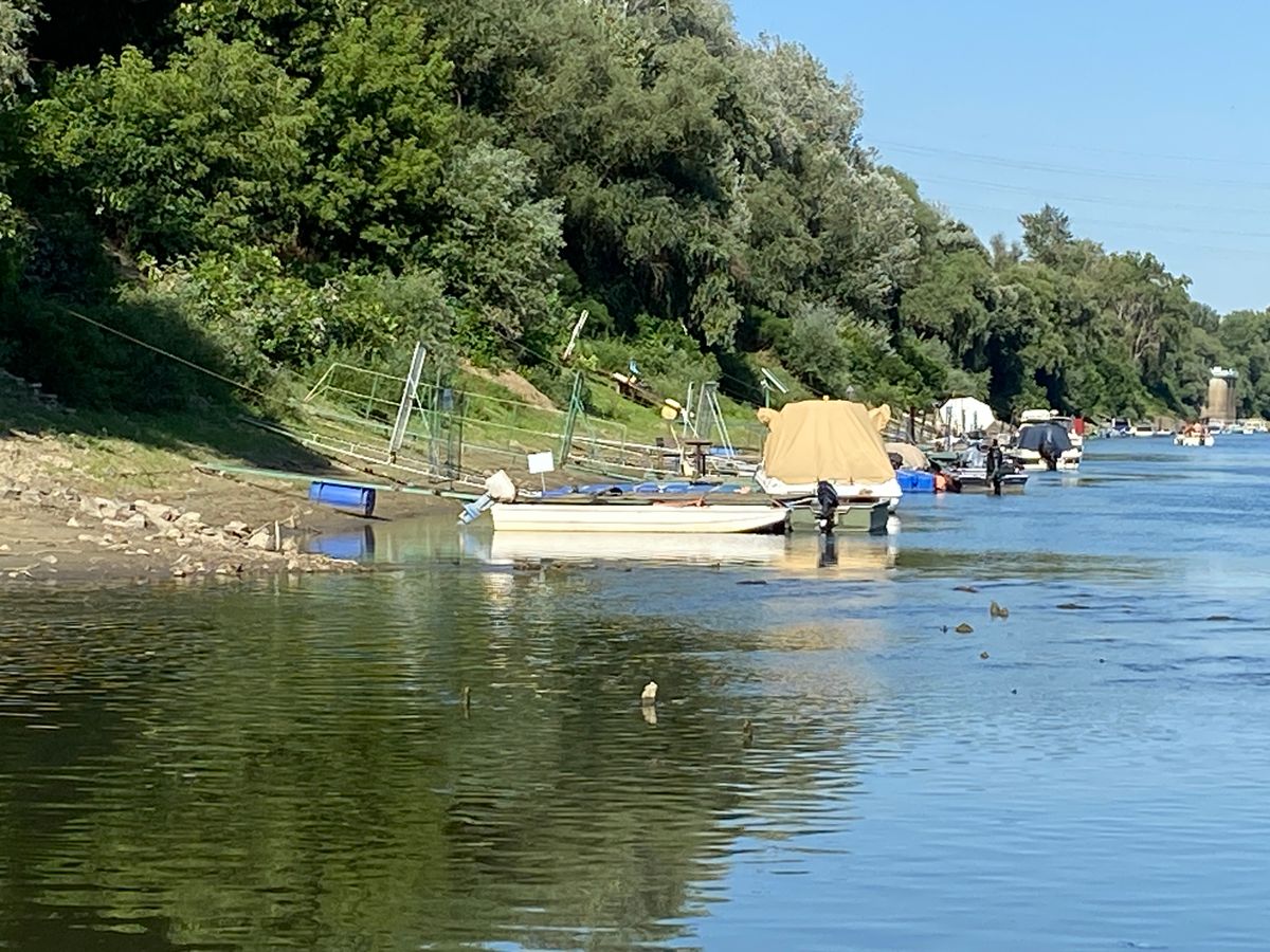 Zagyva torkolatánál eddig rejtett cölöpök is előbukkantak