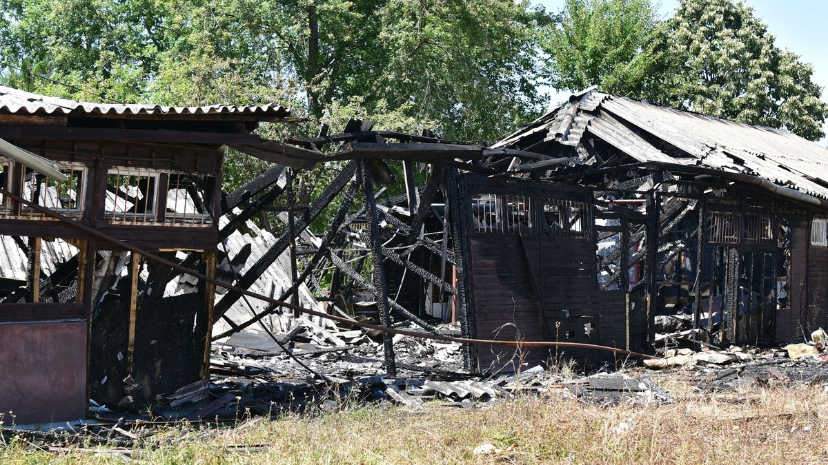 Furkó Kálmán edzőterme