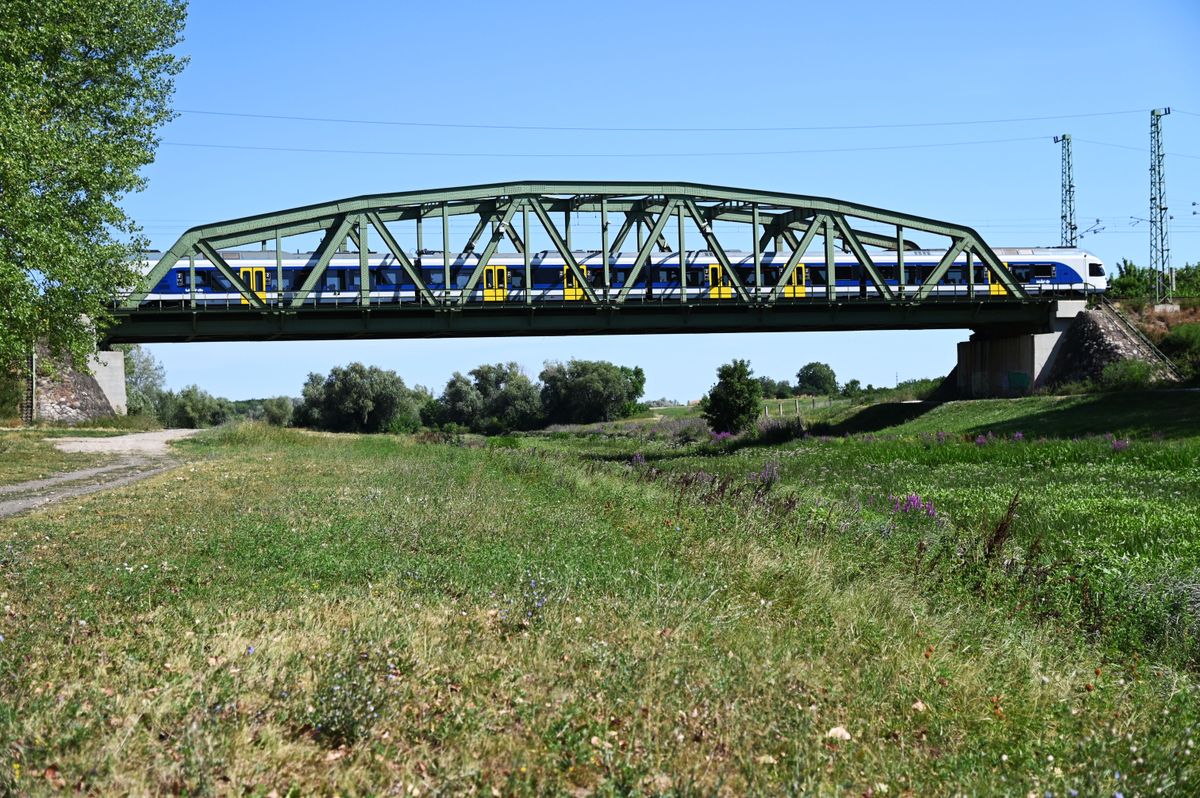 Zagyva
