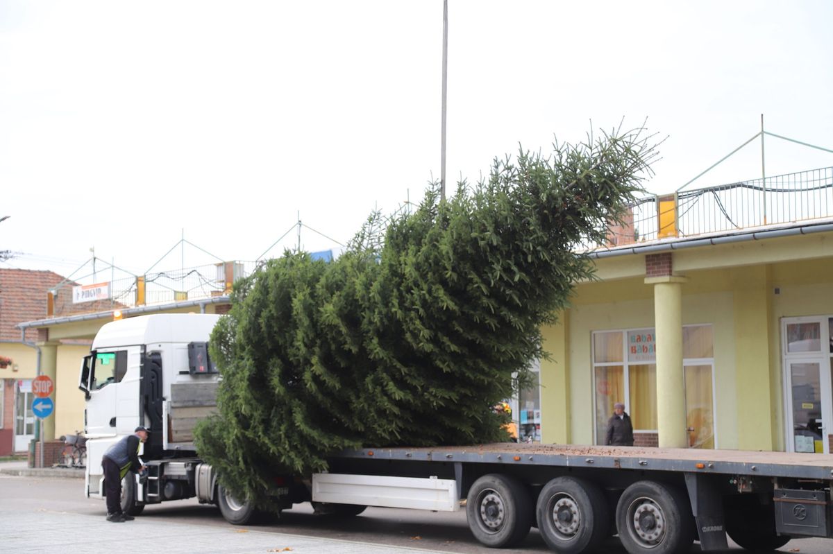 város karácsonyfája