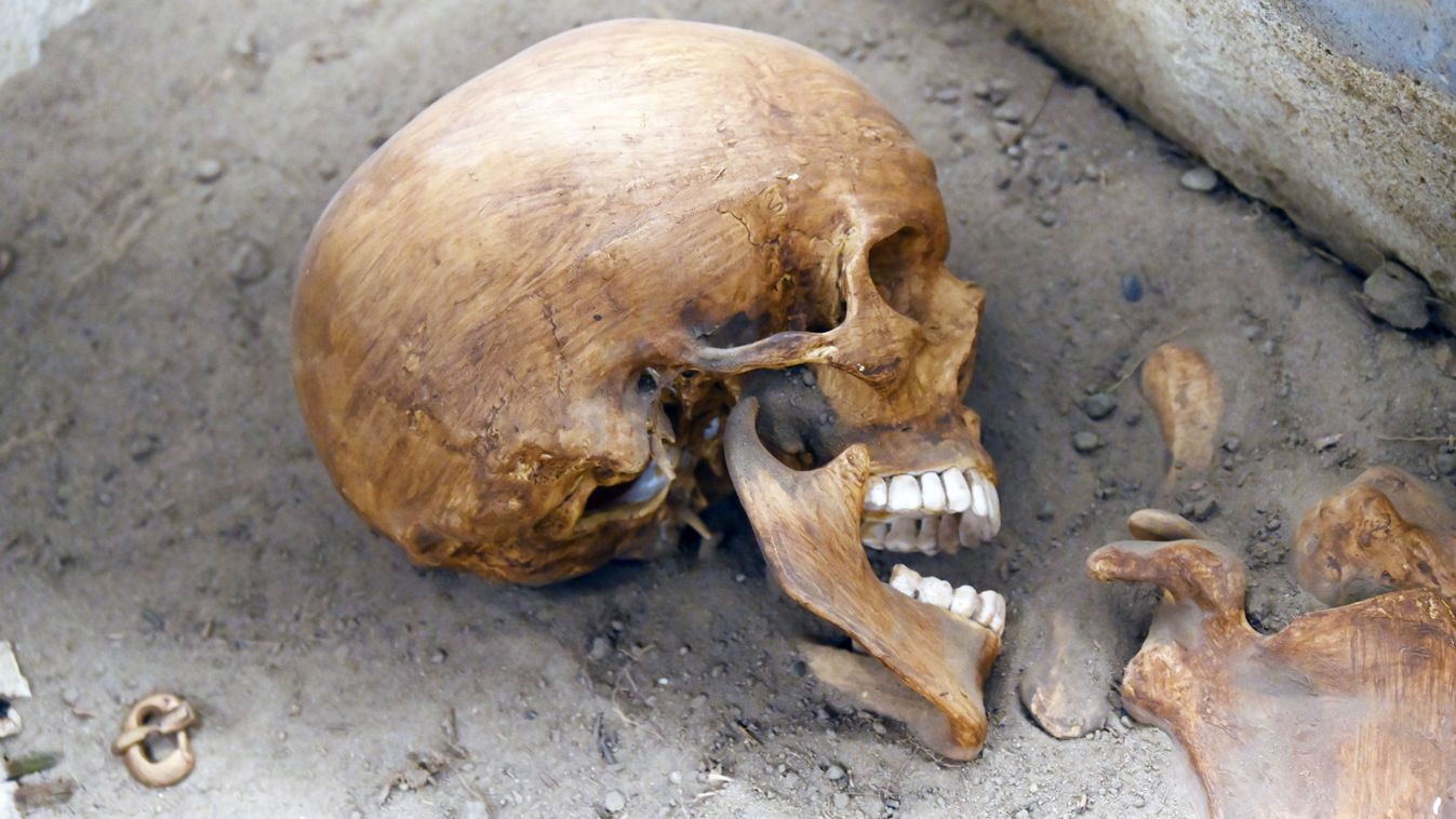 Holtak hazája lett a Damjanich múzeum, óvatosan lépdeljenek a sírok között! –...