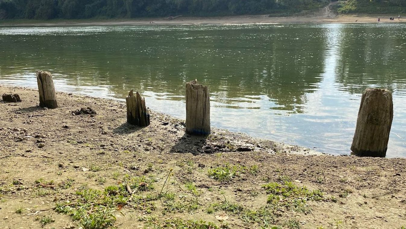 Oszlopmaradványok bukkantak elő a Tiszából, szolnoki régészek fejtették meg az...