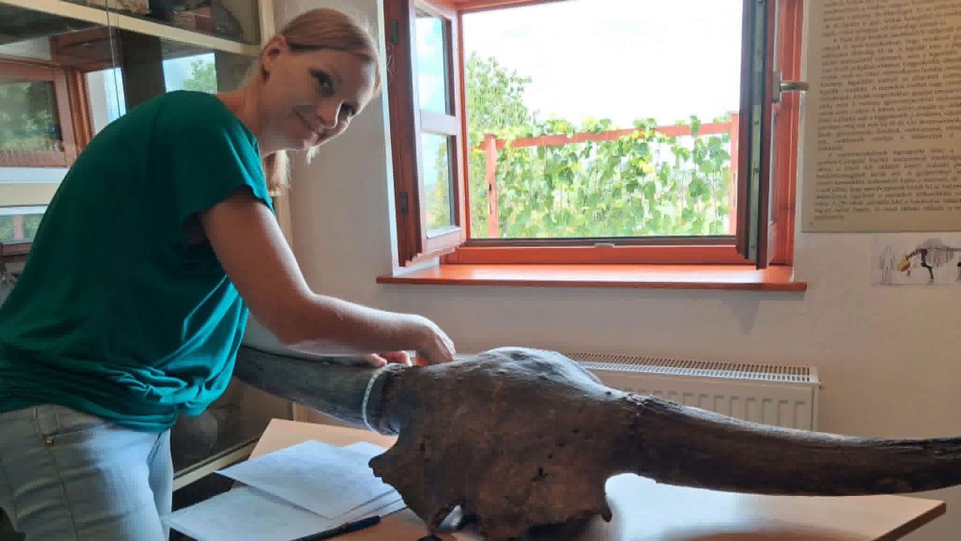 Különleges koponyákra bukkant a lengyel kutató a múzeum gyűjteményében